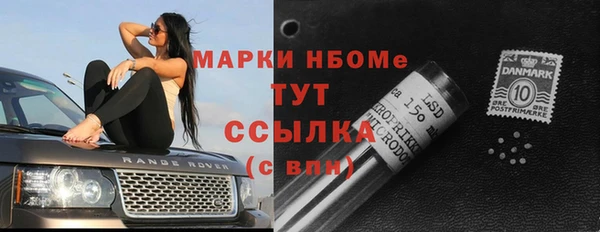 apvp Надым