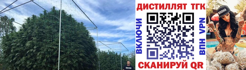 ТГК Wax Калуга