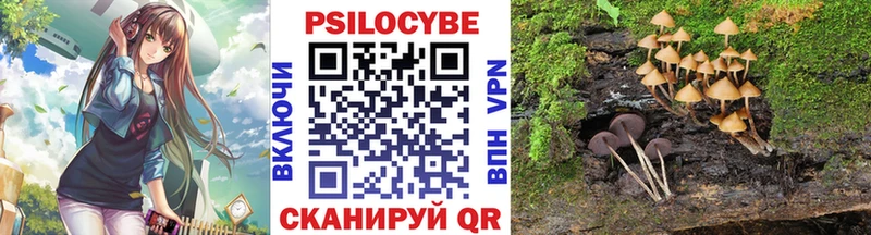 даркнет формула  Калуга  Псилоцибиновые грибы мицелий  как найти  